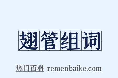 翅管组词是什么意思的图片